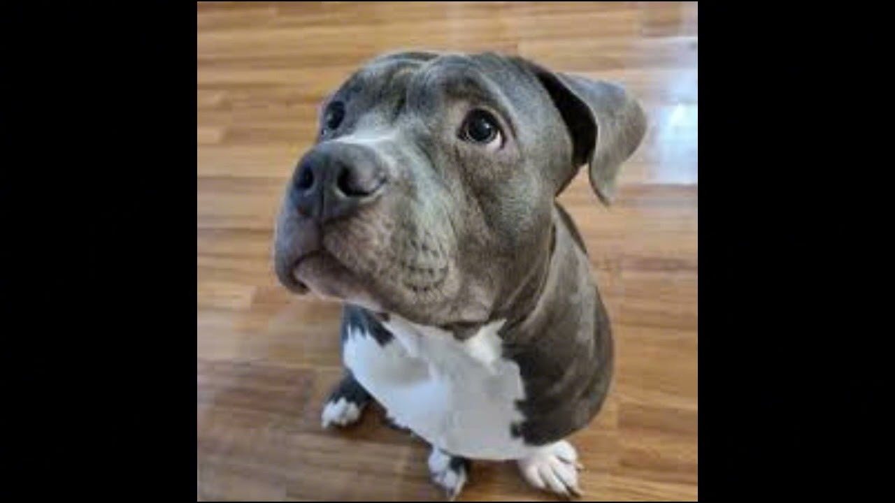 Steve Lacy - LoFis album (sped up)