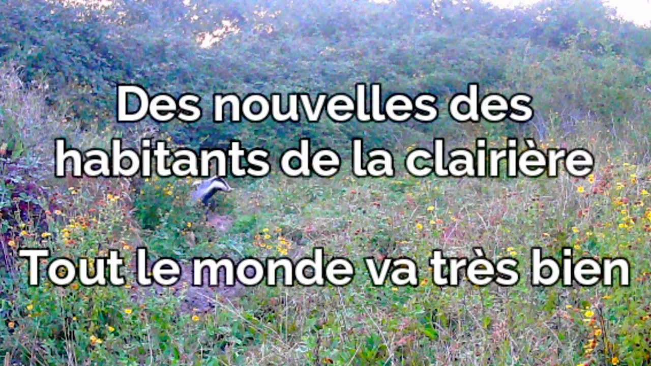 Retour dans la clairière secrète