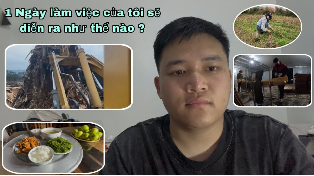 1 Ngày làm việc của tôi sẽ như thế nào