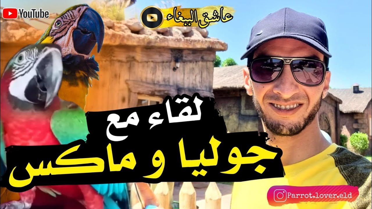 عطاني عود 🐎هدية🎁 من عند  صديقي مول دريم فيلاج🤩