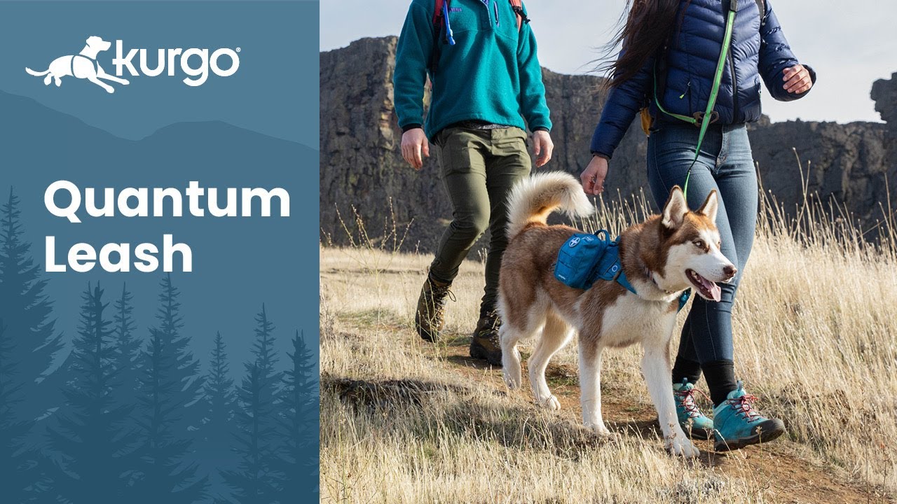 The Quantum Leash | 6-in-1 dog leash