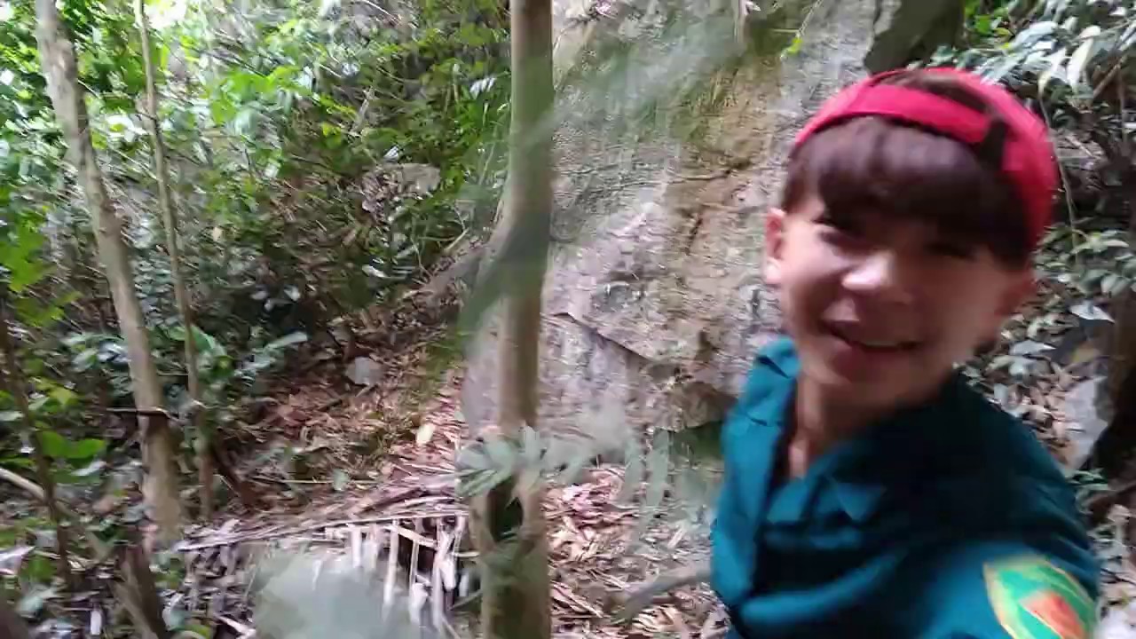 Một Chuyến Đi Núi Rừng