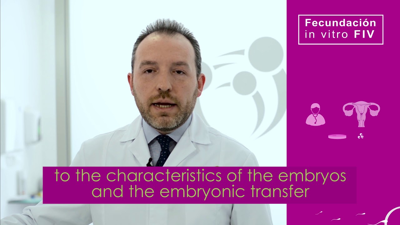 FIV Marbella (ENG) | IVF