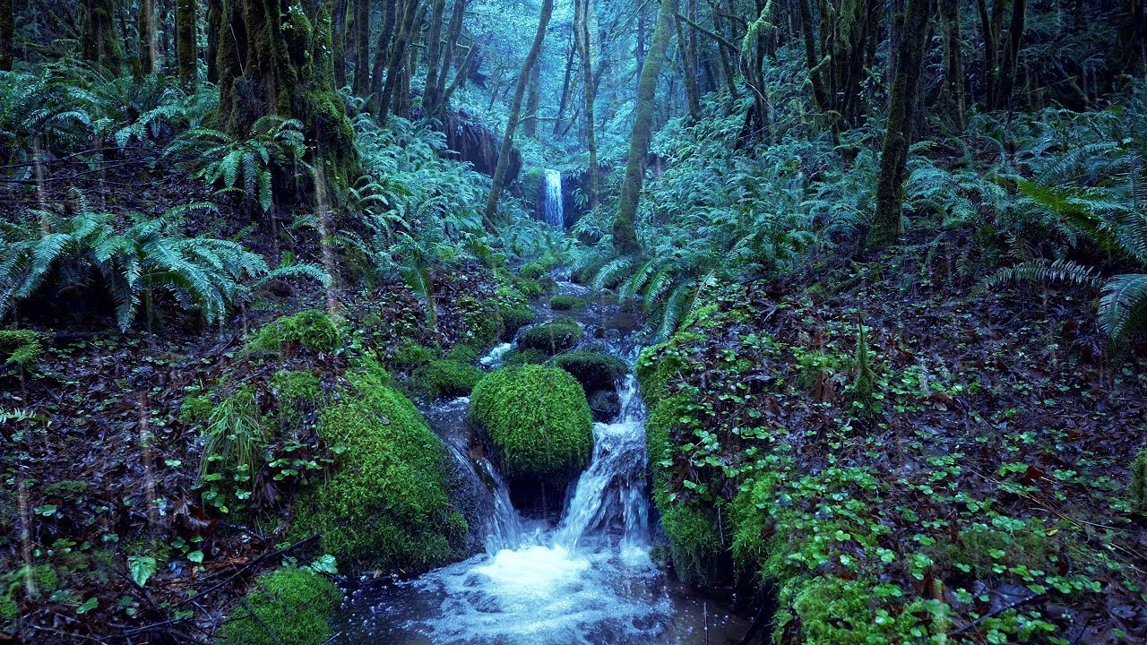 Soothing Relaxing Waterfall Sounds – Natural White Noise for Sleep