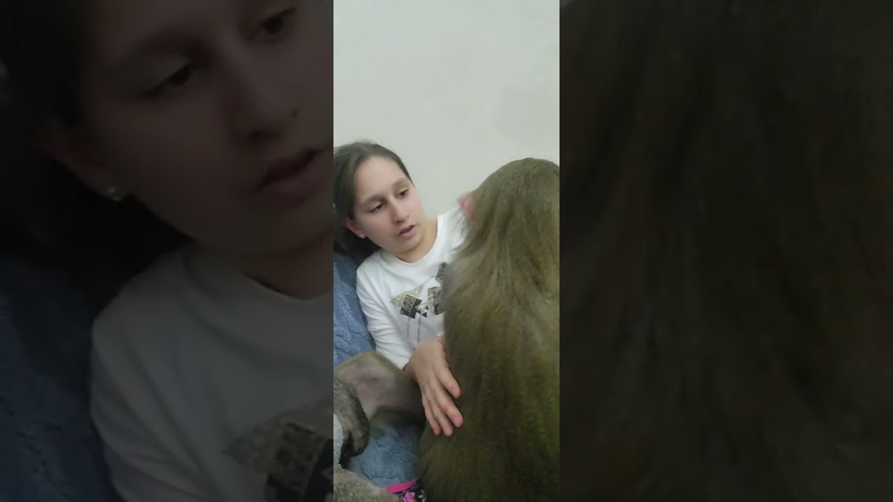 Набегались,  наигрались, повалялись,  такой вот девичник у нас😁