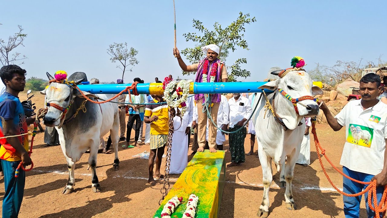 2026-యడవలి.న్వూకేటగిరి.1వ జత.M.అక్షర రెడ్డి గారు రాయవరం గ్రామం నాగర్ కర్నూల్ జిల్లా తెలంగాణ రాష్ట్రం