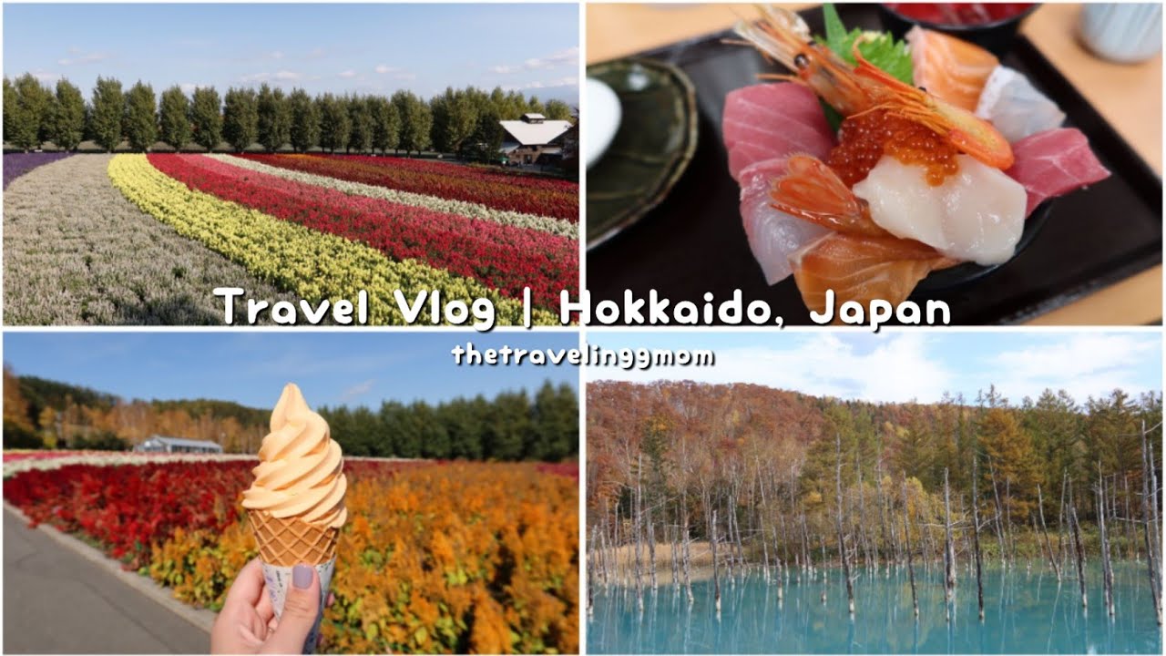 [VLOG] Hokkaido Honeymoon V | Autumn 2022 | Furano | Sapporo | Sight seeing, Omakase, Royce Choc