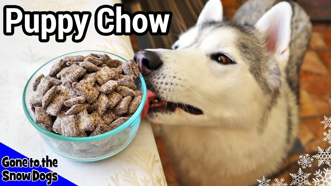 How to Make Puppy Chow for Dogs | DIY Dog Treats 114 |  Muddy Buddies for Dogs