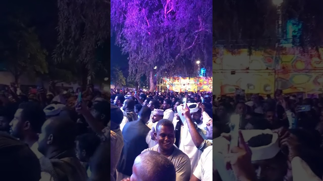 جانب من مشاركة انصاف فتحي الاسبوع السوداني الرياض