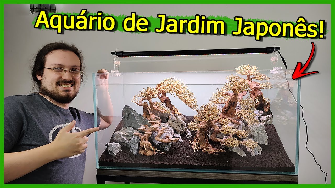 Montei um Aquário Plantado Estilo Jardim JAPONES! - Bonsais