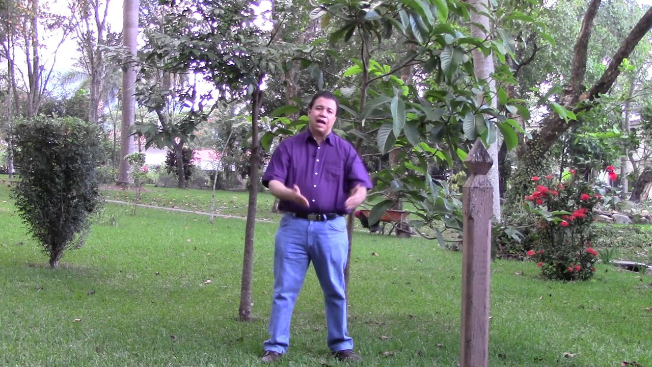 Tienes que soltar el pasado