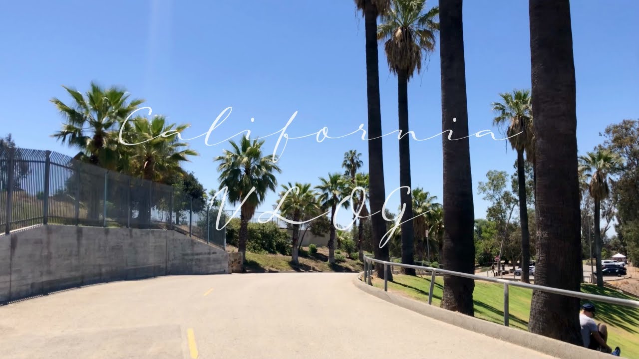 [🇺🇸 Cali VLOG] #44 이사 완료, 새 집 정착기 l IKEA 쇼핑 l 바닷가 피크닉 l 스타우브 요리 l 알배추삼겹살찜 l 동네 뒷산 하이킹, 인앤아웃, 오븐요리