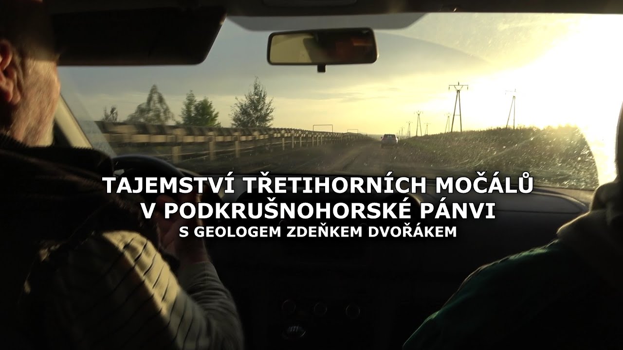 Tajemství třetihorních močálů v podkrušnohorské pánvi - 1. část Flora. Seriál Geologie v terénu.