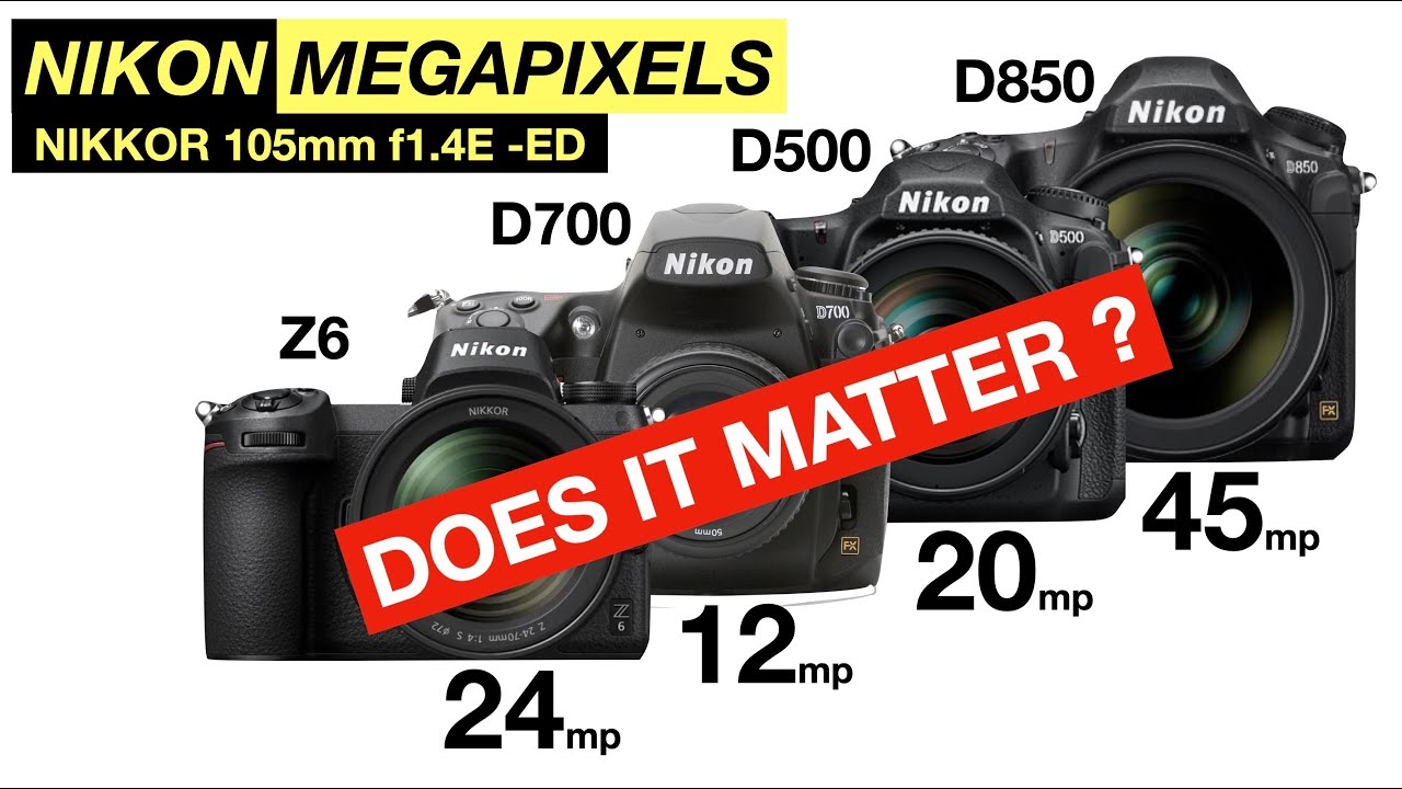 Имеют ли значение мегапиксели? Nikon D700 против D500 против Z6 D850: 12-20-24-45 МП и объектив N...