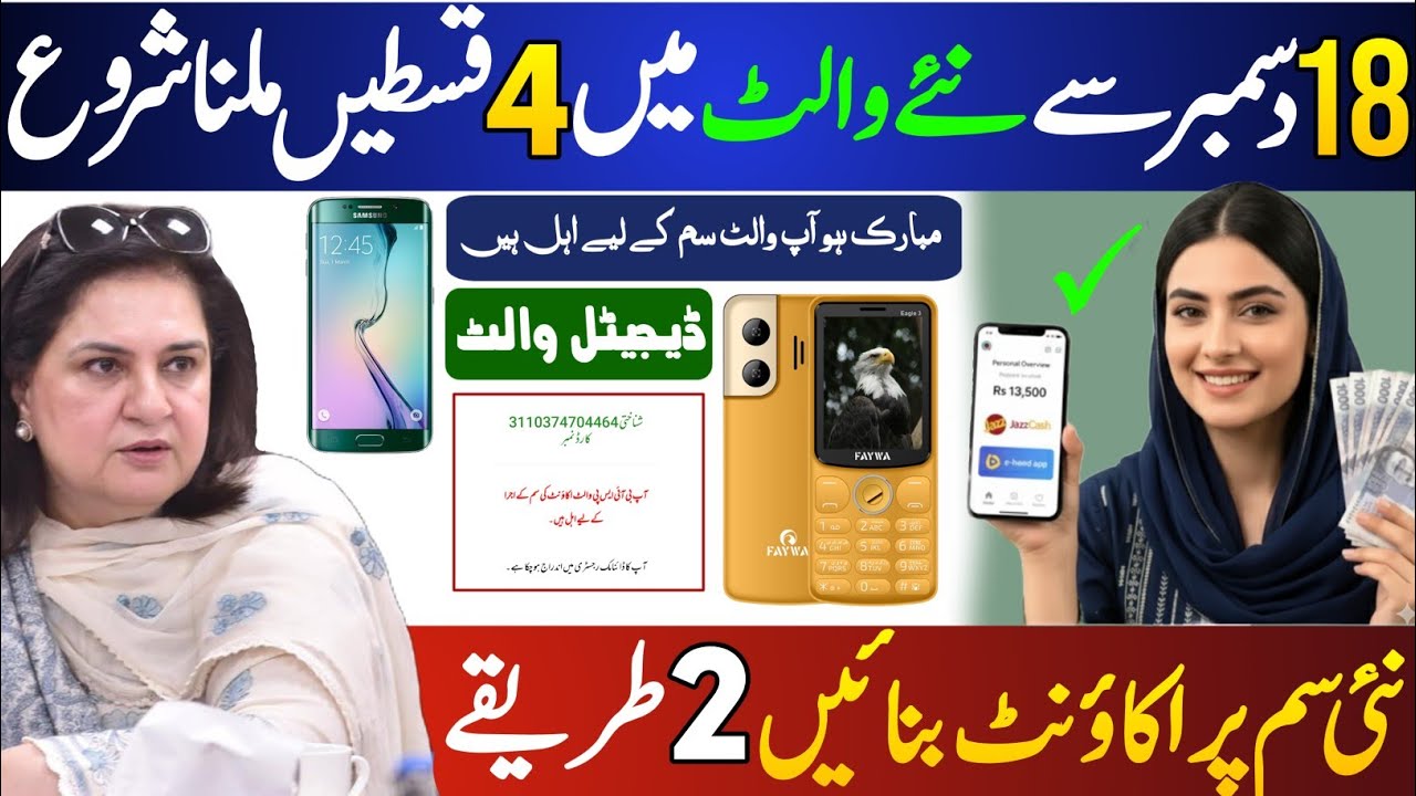 Bisp Wallet Sim Payment Start | Bisp New Update 2025 | Ehsaas Program | 8171 Web Portal | Cnic Check