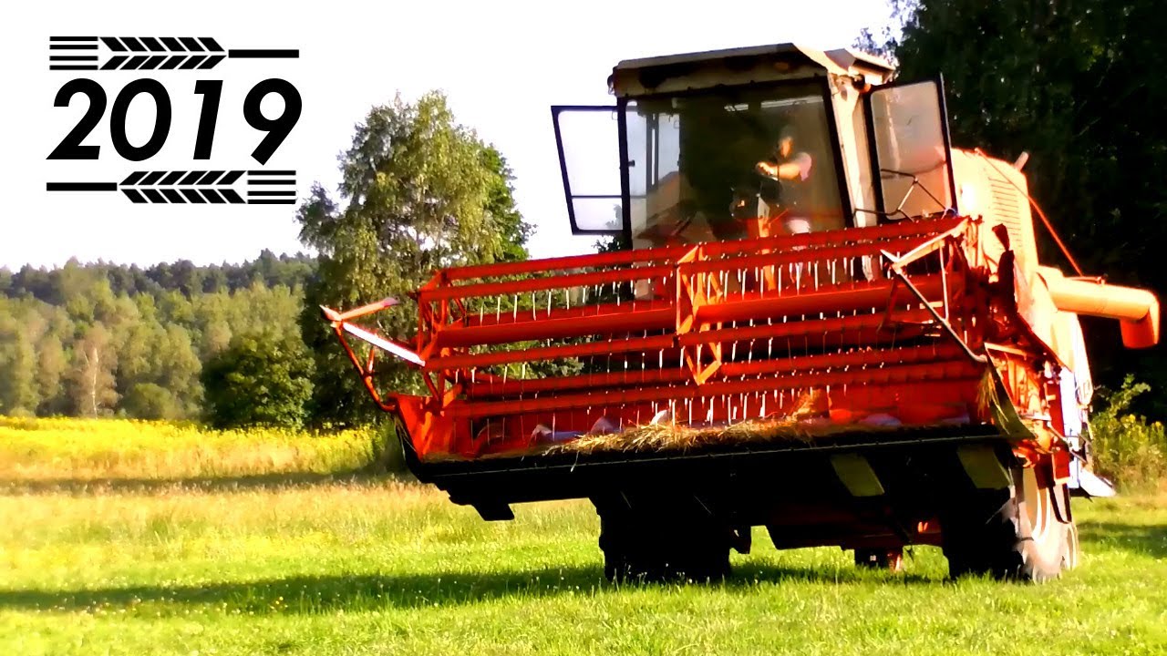 Żniwa 2019 BIZON Super Z056/8 Ursus c330 Full HD