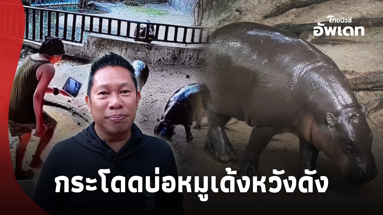 ดราม่าสนั่น! นักท่องเที่ยวโดดลงบ่อ “หมูเด้ง” หวังคอนเทนต์ สุดท้ายโดนจับ Update 62-PP