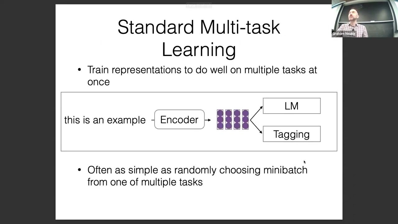 CMU Advanced NLP 2024 (8): Fine-tuning and Instruction Tuning