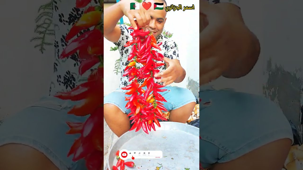 طريقة تجفيف الفلفل الاحمر الحار 🌶 كما ناس زمان