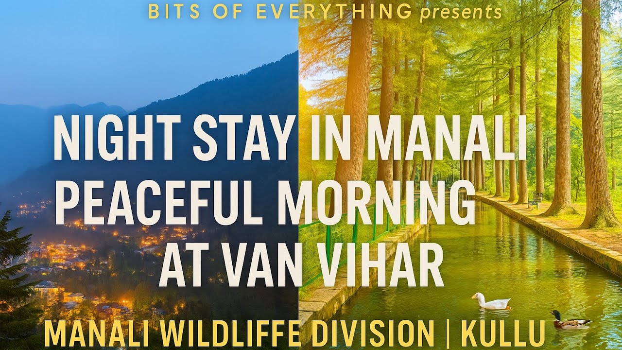 Night Stay in Manali 🌙 + Peaceful Morning at Van Vihar 🌲 | Manali Wildlife Division | Kullu Vlog