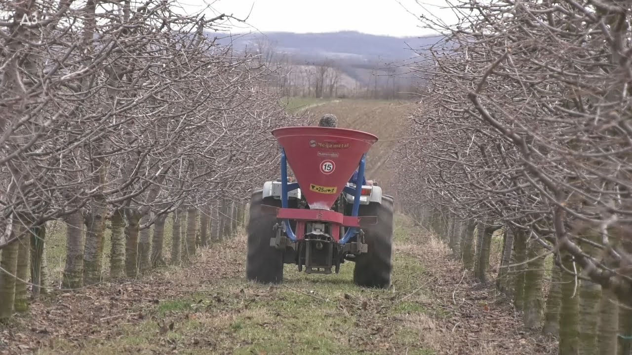 DJUBRENJE VOĆA - evo koja FORMULACIJA I ZAŠTO je voćari primenjuju i u kojim količinama ??