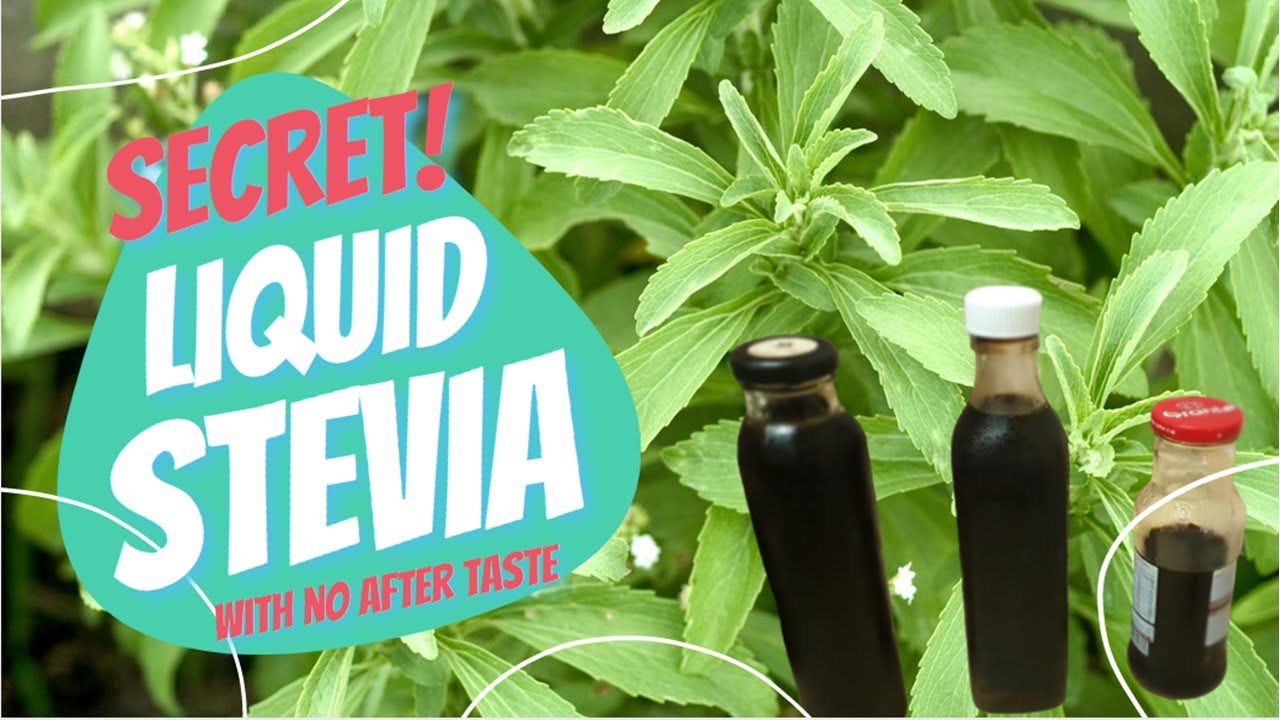 How to make liquid stevia taste better with no aftertaste