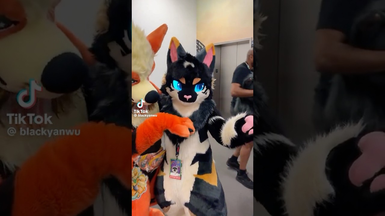wawa :3 #furry #furries #fursuit #tiktok #trending #viral #shorts #fyp #cosplay #costume