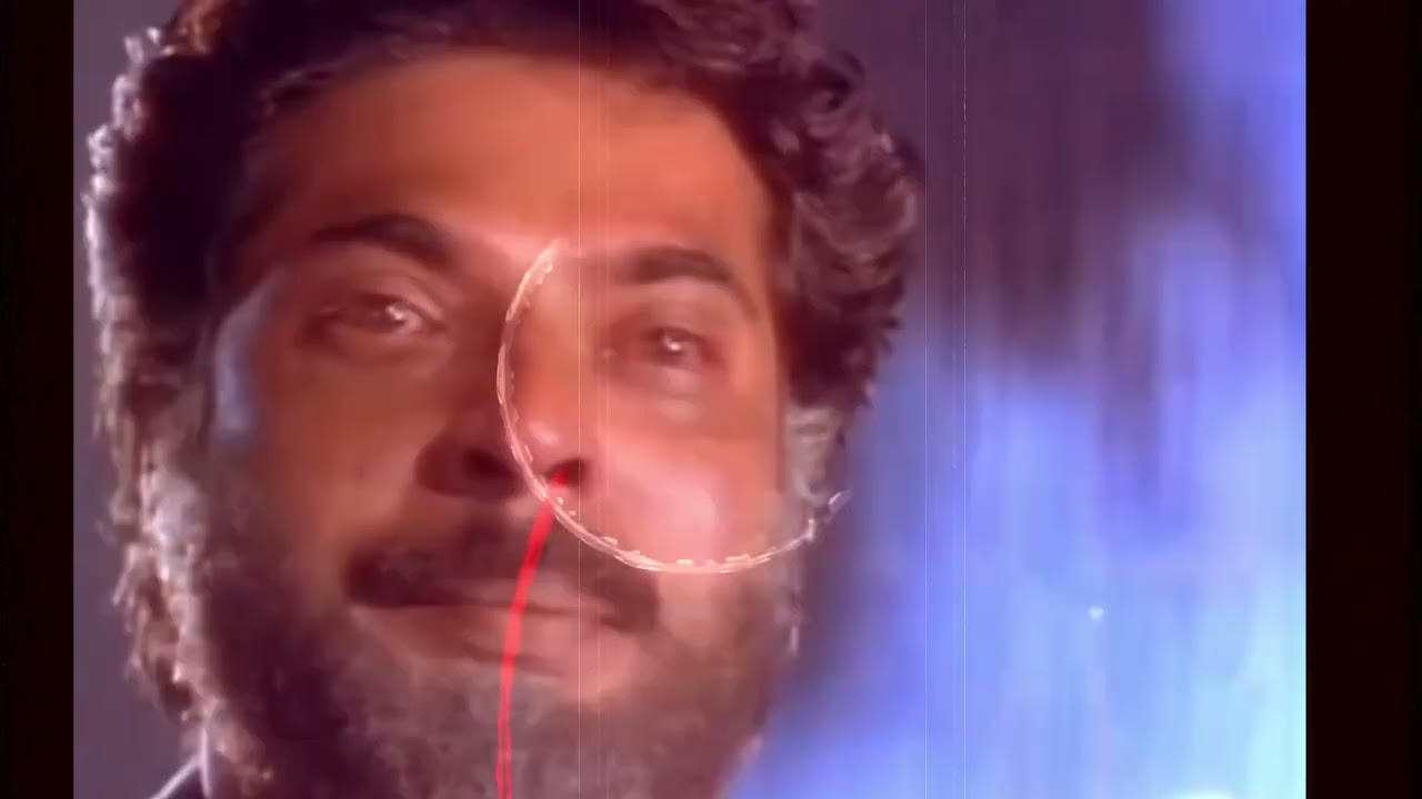 ആരെയും നുള്ളി നോവിക്കാൻ പോലും സമ്മതിക്കില്ല #viralvideo #mammootty #love #filmdialogue 