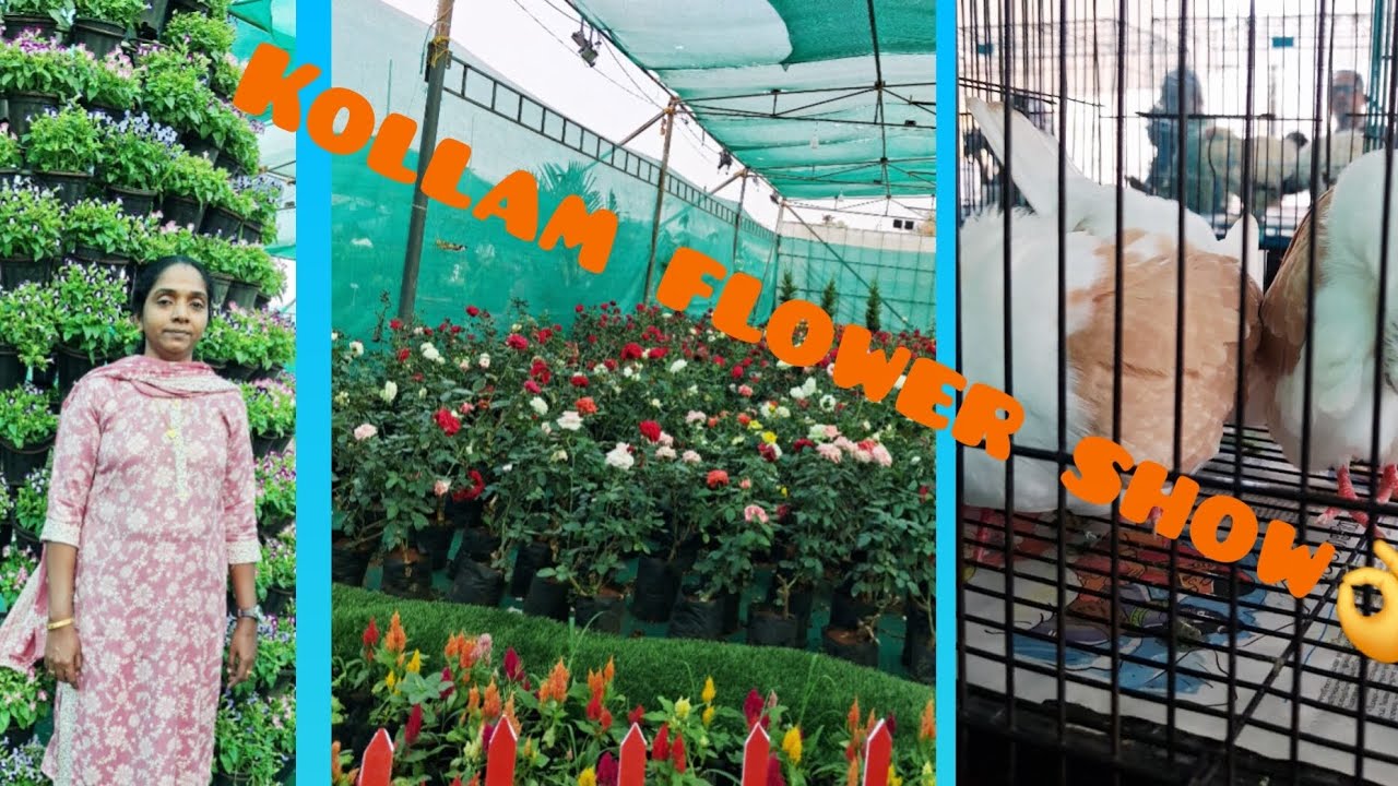 എന്തു ഭംഗിയുള്ള പൂക്കൾ ആണ് ❤️കൊല്ലം ഫ്ലവർ ഷോ 👌#flower show#kollam #longvideo 