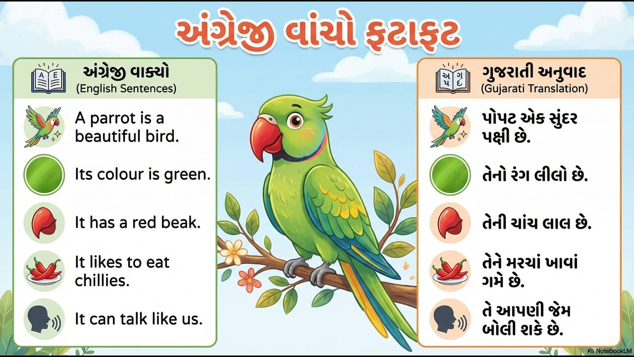 English Reading Practice: અંગ્રેજી વાક્યો બોલતા અને વાંચતા શીખો | Basic English for Beginners