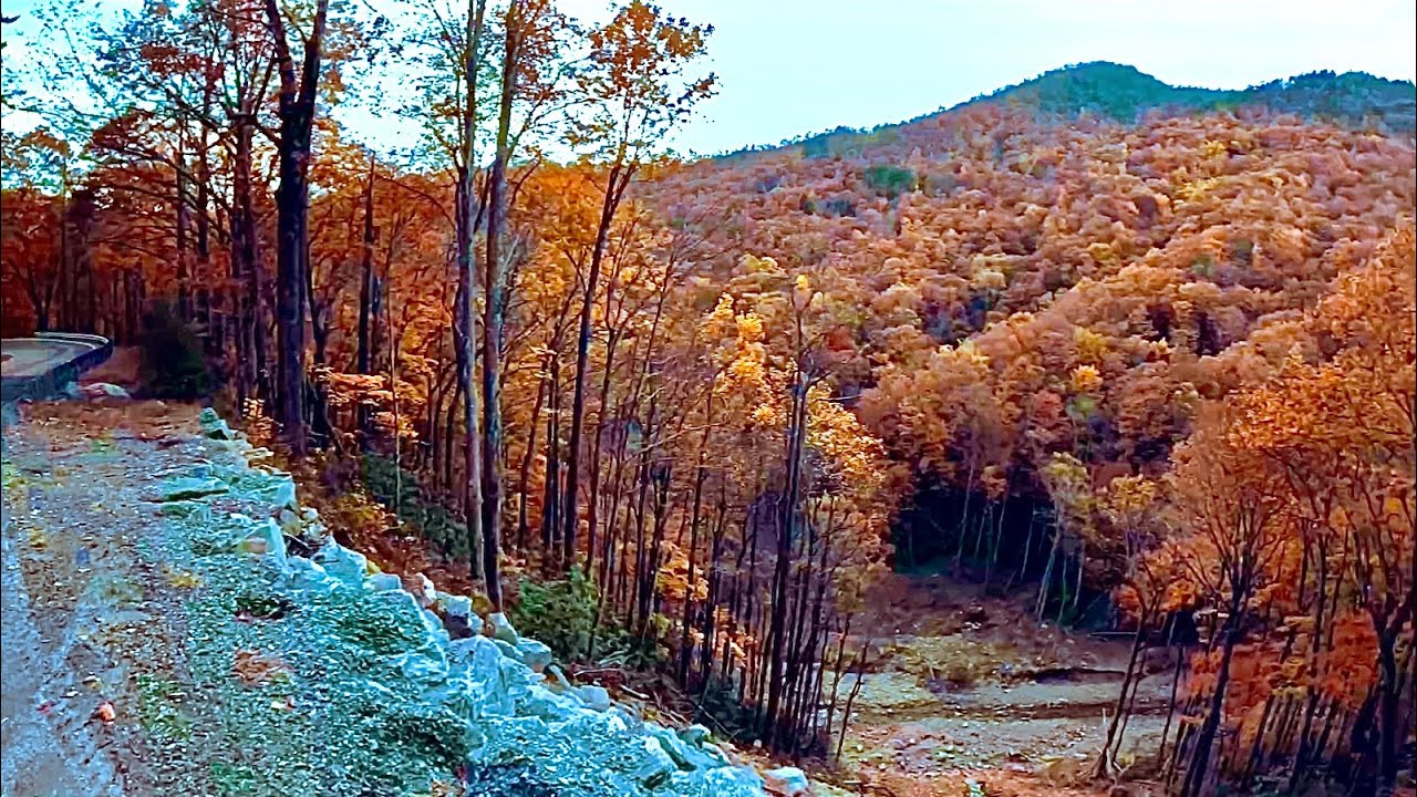 Поездка на осеннем маршруте по шоссе NC Hwy 80 и Blue Ridge Parkway, хребет Блэк-Маунтин, река Са...