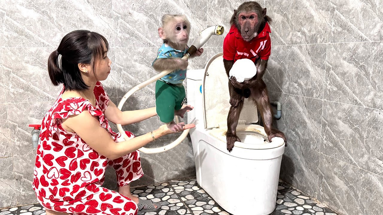 Baby Monkey Helps Mom Clean Abu! 🛁🐵