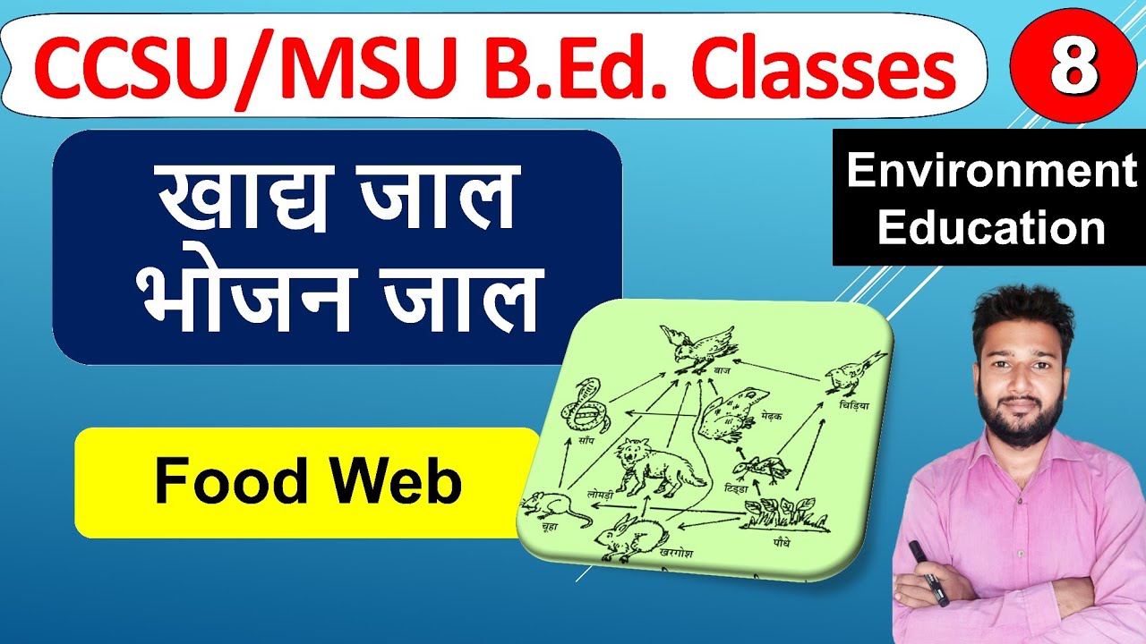 खाद्य जाल khadya jaal ka arth bhojan jaal kise kahate hai | Meaning of food web in hindi b.ed