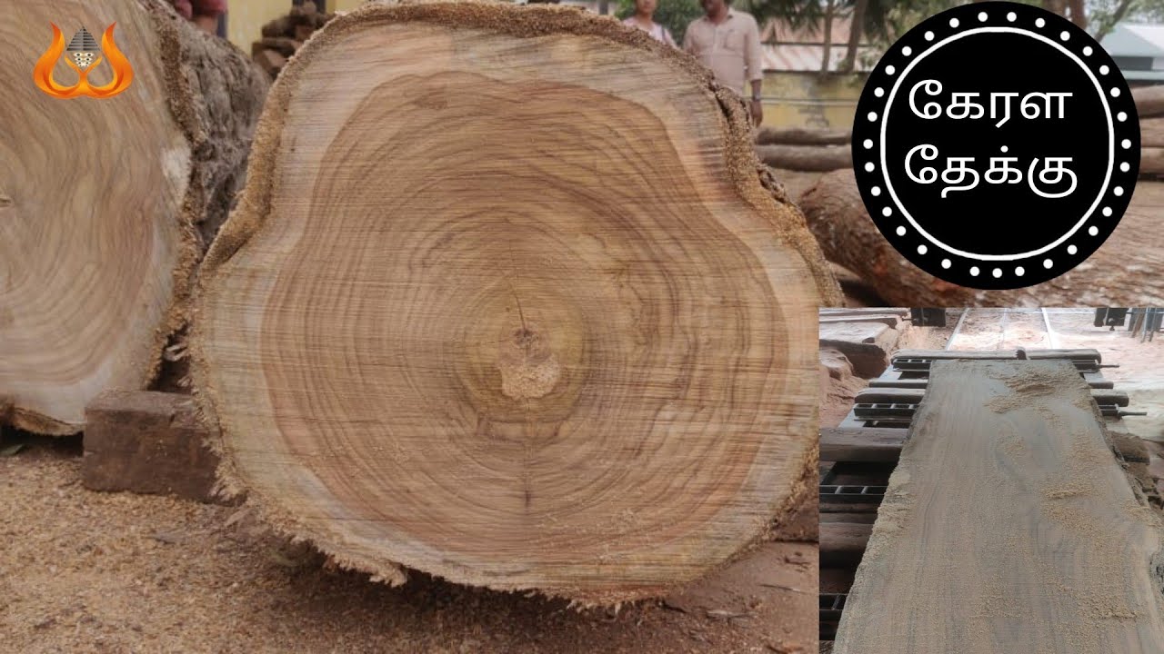கேரளா தேக்கு|| Kerala Teak || Premium Nelambur Teak | Pollachi | @sreelaxminarayanatimberspvtltd