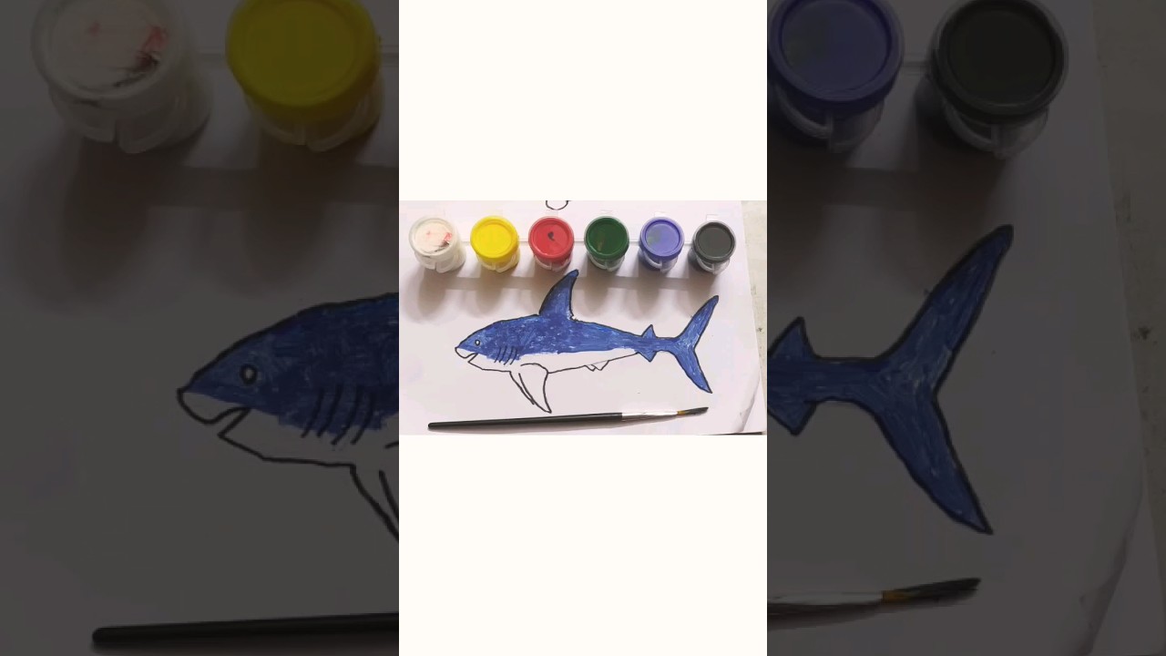 shark fish drawing colour Arts Tv ✍️