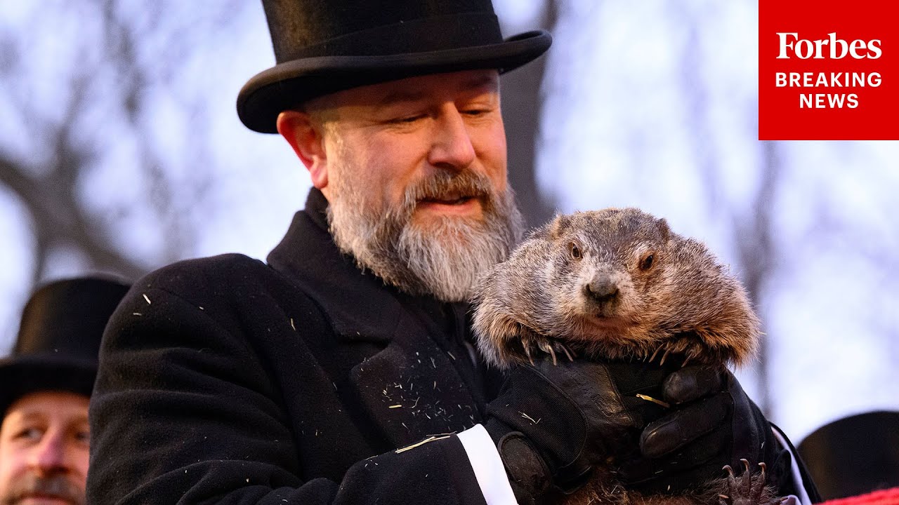 Groundhog Day: Punxsutawney Phil Sees His Shadow Which Means 6 More Weeks Of Winter
