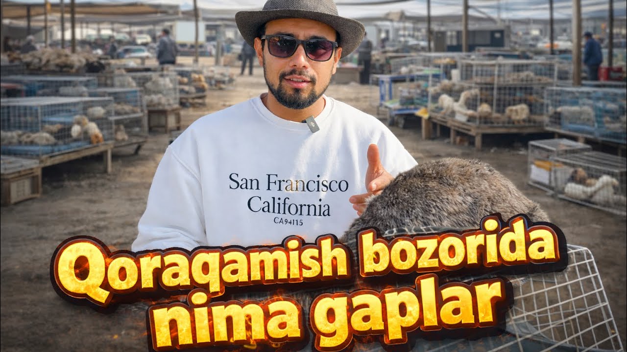 Qoraqamish qush bozorida 
