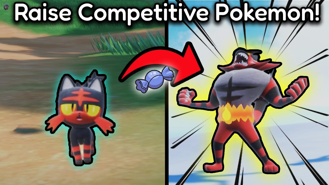 The Complete Beginner's Guide To Raising A Competitive Pokemon (SV)