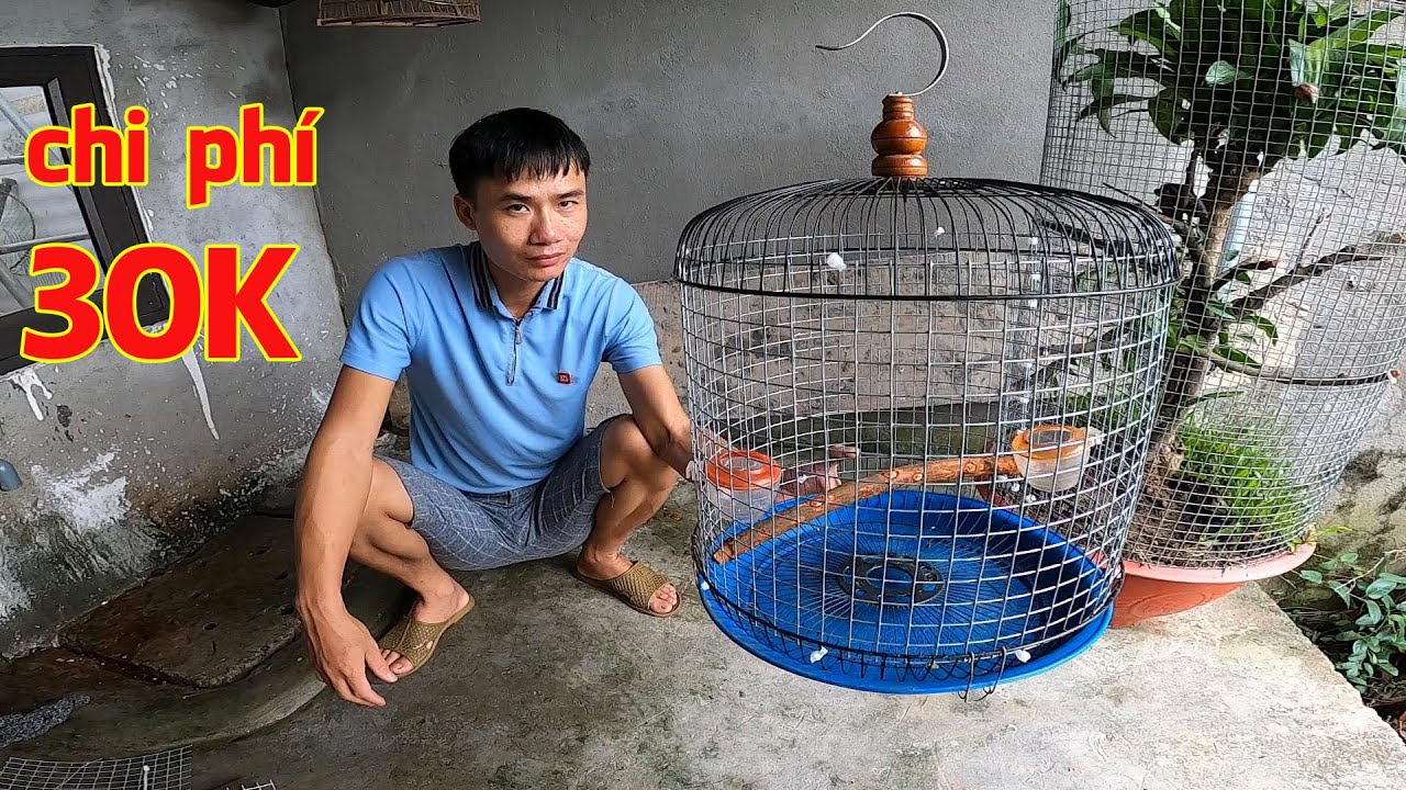 Cách làm lồng chim Cu Gáy bằng Vỏ Quạt