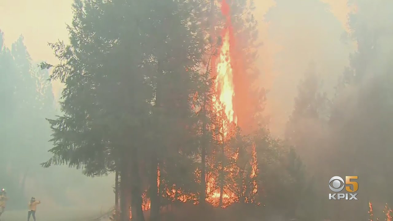 Caldor Wildfire In El Dorado County Explodes More Than 30,000 Acres, 2 Hurt
