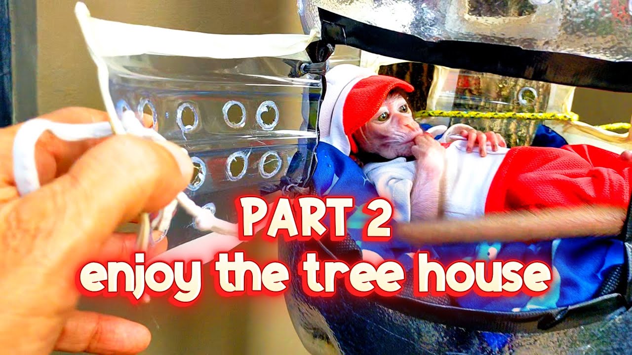 Enjoy the tree house ( PART 2 )
