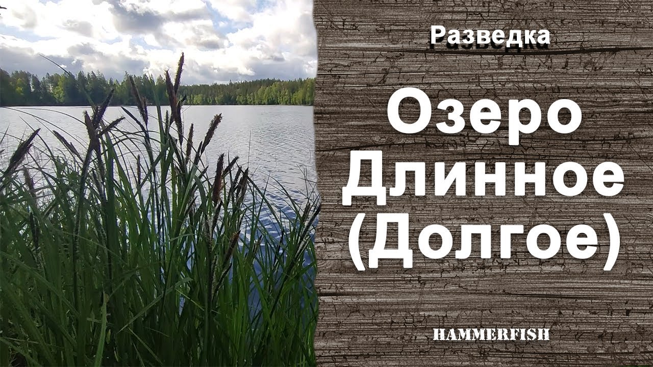 Озеро Длинное (Долгое). Подводная охота в Ленинградской области.