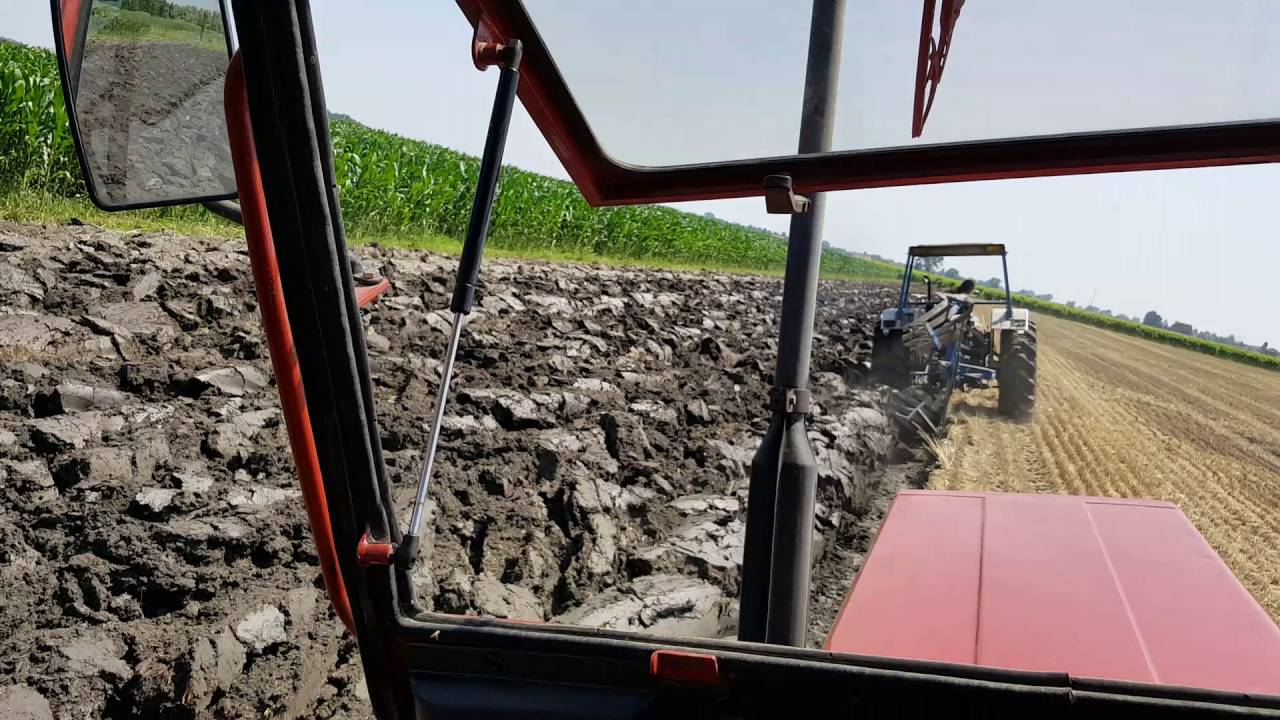 carraro 450 cdevigo padova aratura cin ford 4600 e fiat 766 2016