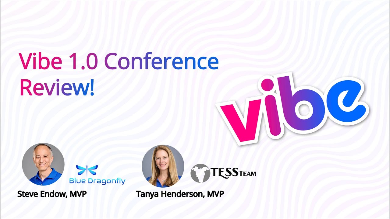Vibe 1.0 Conference Review! An amazing partner conference!