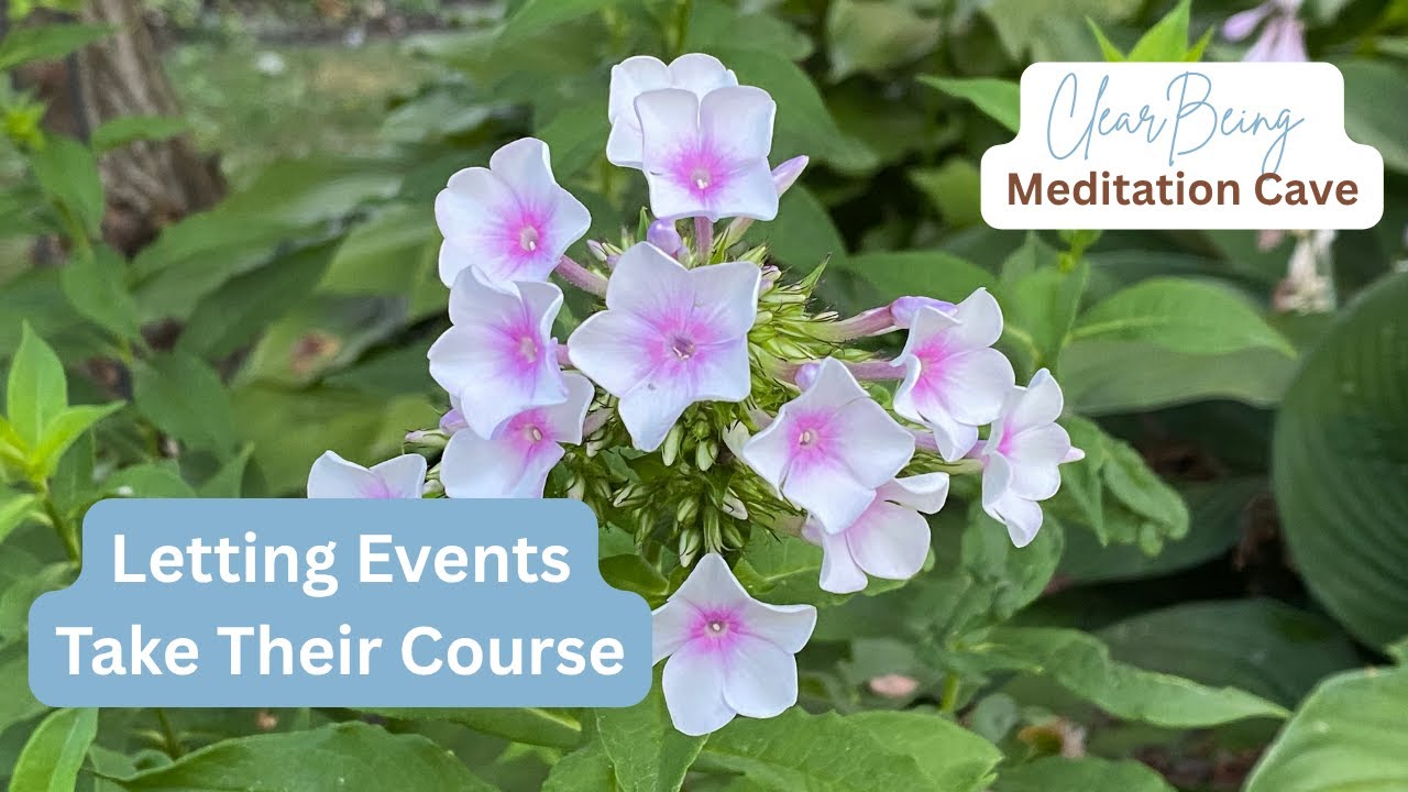 Letting Events Take Their Course