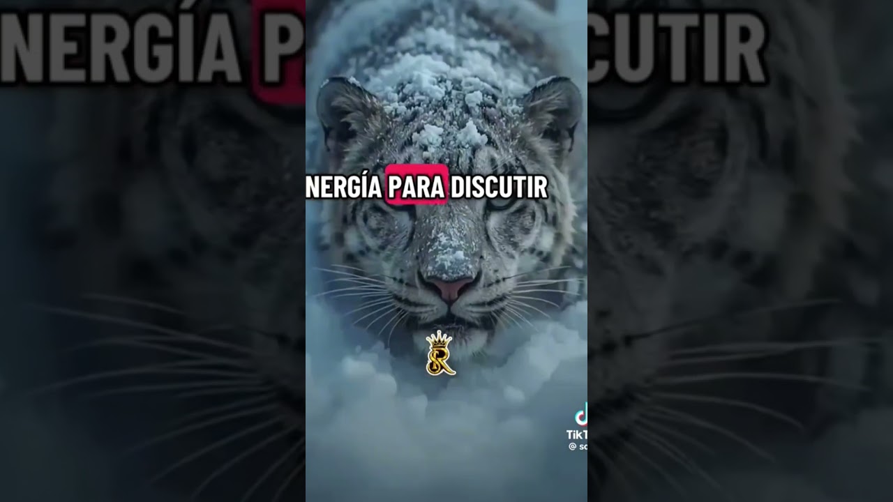 9 de marzo de 2026