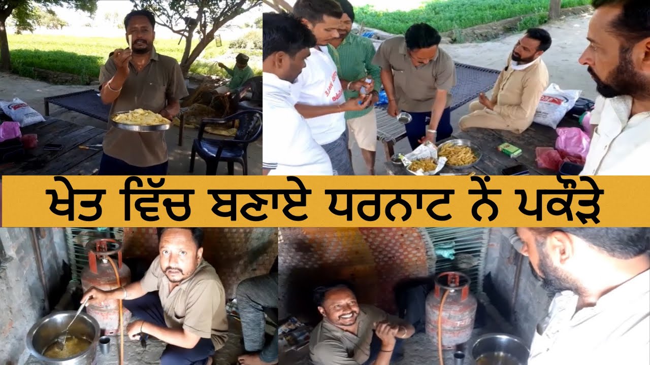 ਧਰਨਾਟ ਨੇ ਖੇਤ ਵਿੱਚ ਬਣਾਏ ਪਕੋੜੇ • dharnat ne bnye khet pakode | latest punjabi video