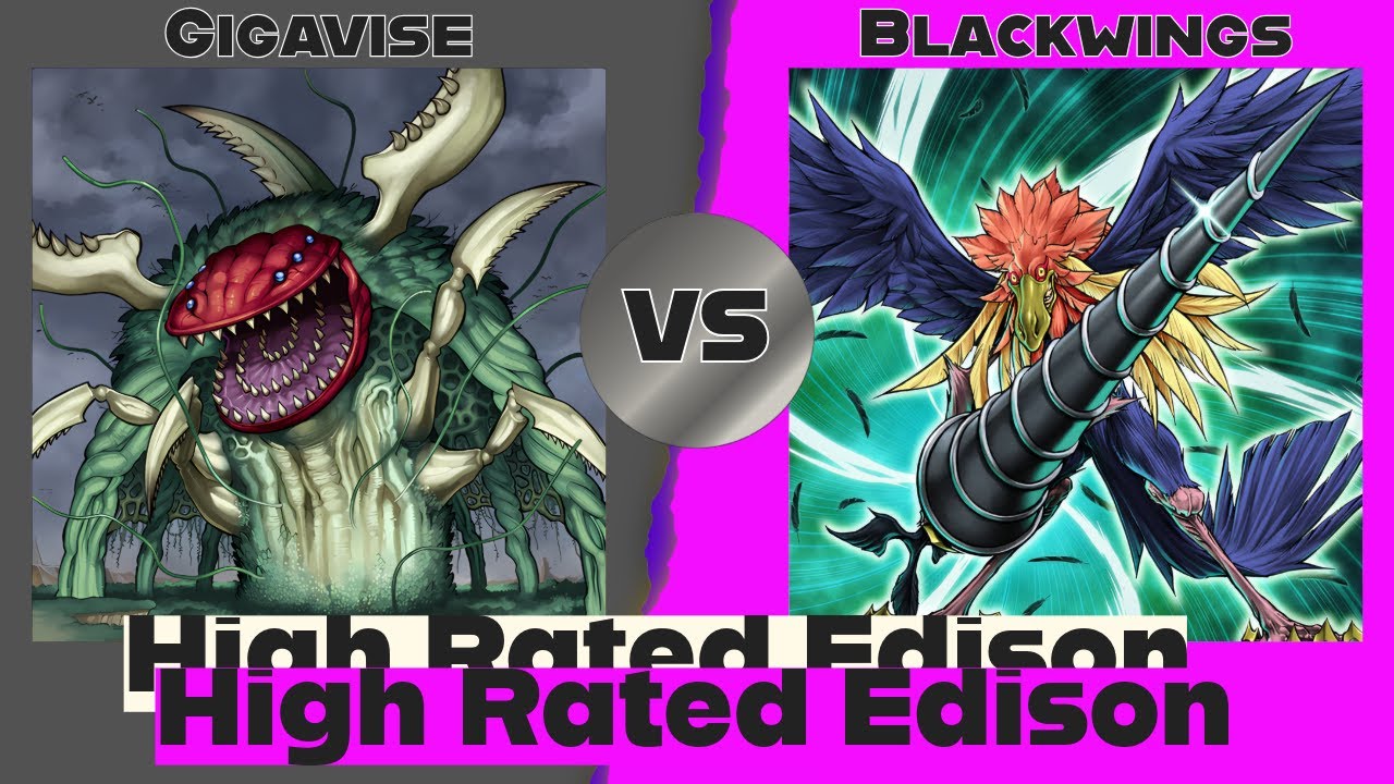 Gigavise vs Blackwings - High Rated Edison Yu-Gi-Oh!