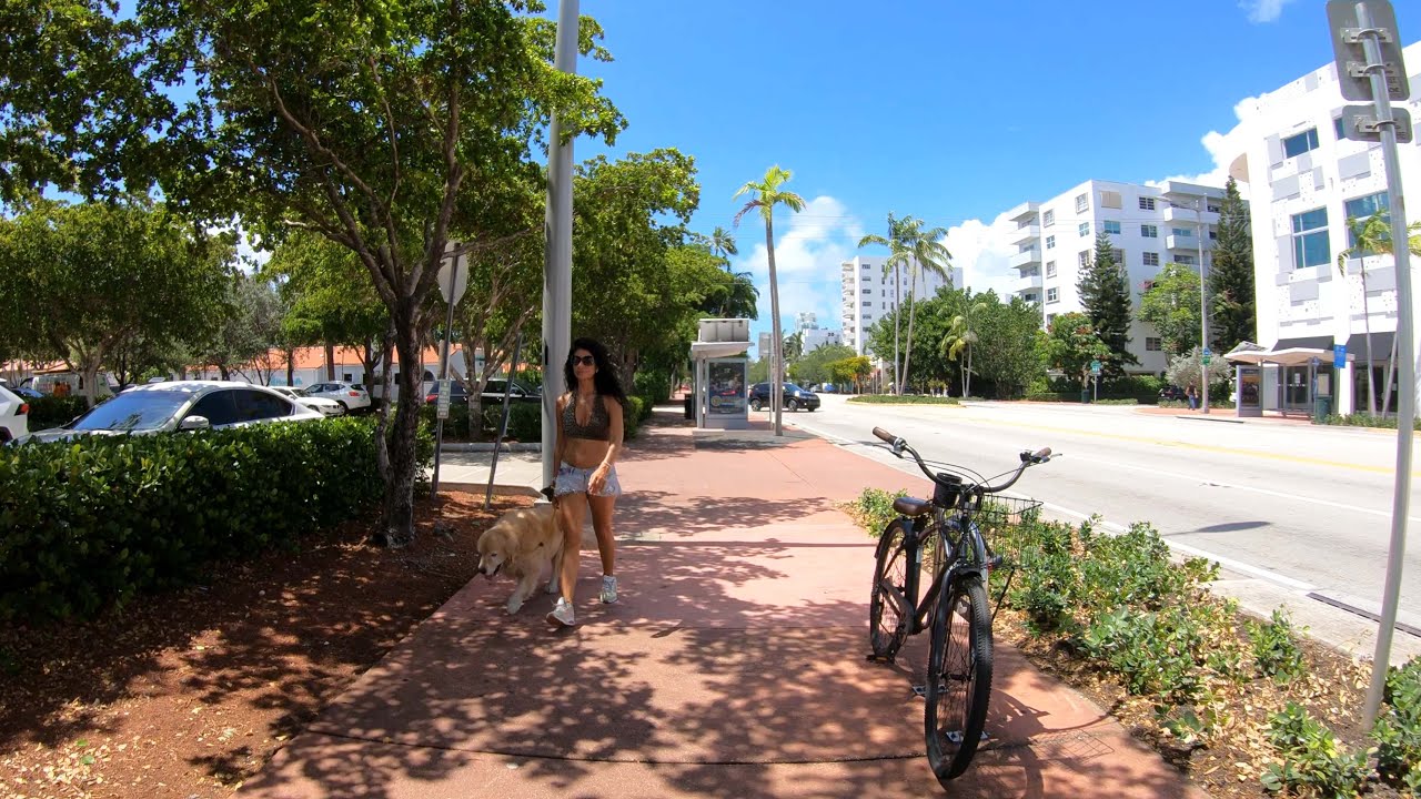 Walking Miami Alton Road | South Beach Miami Florida