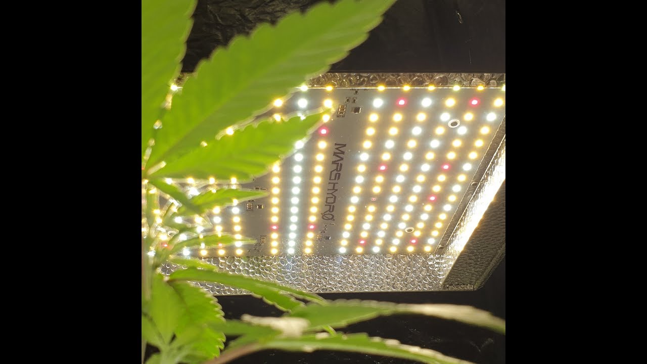 MARS HYDRO TS 600 LED GROW LIGHT